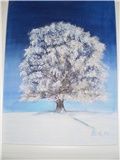 drvo u snijegu
